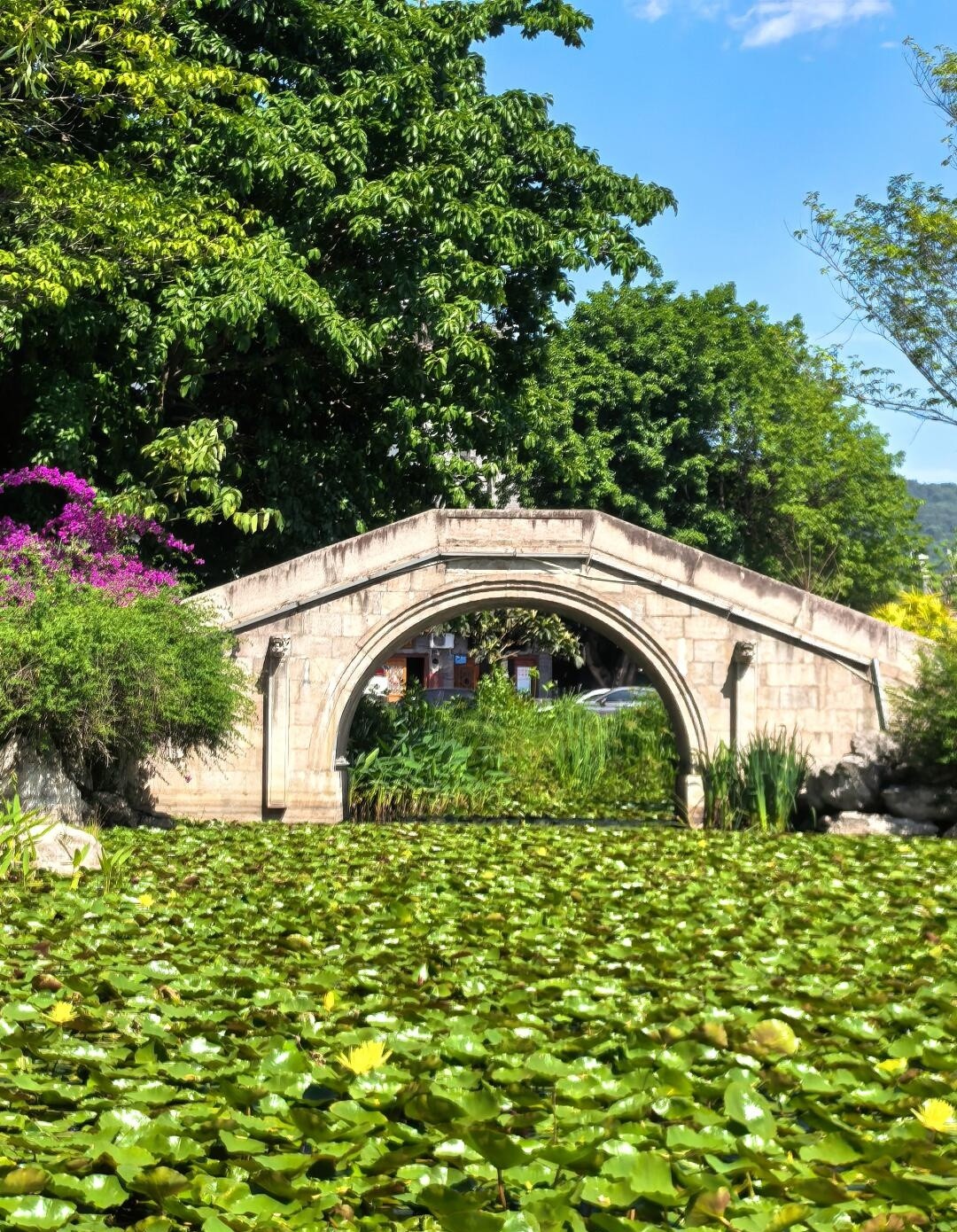 image_17.jpg