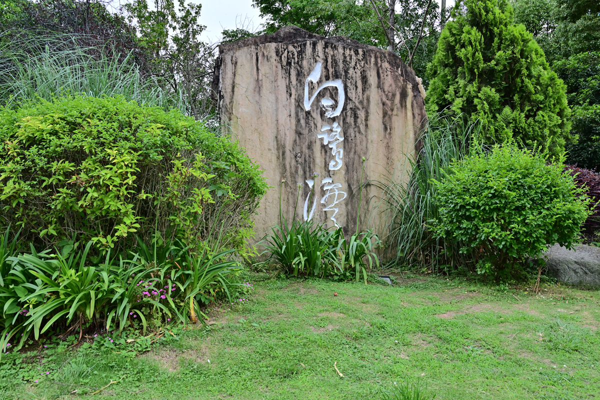 DSC_3661_����.jpg