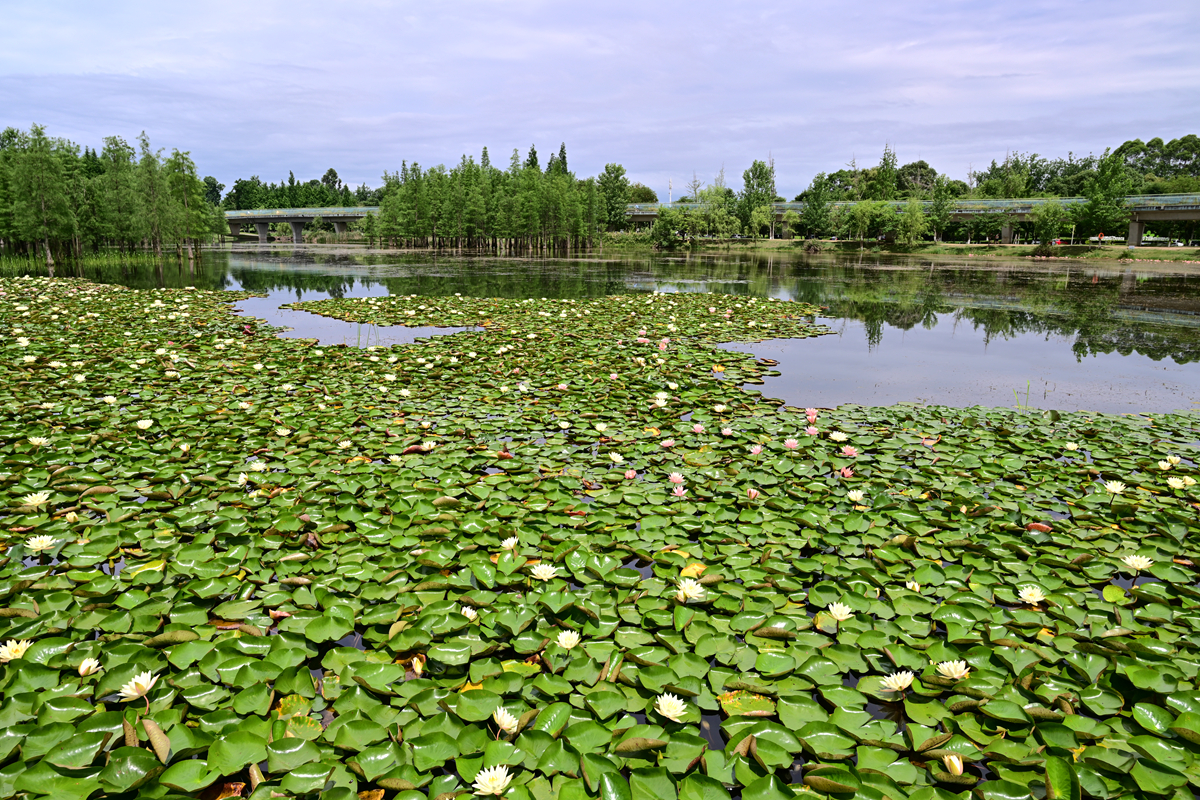 DSC_3573_����.jpg