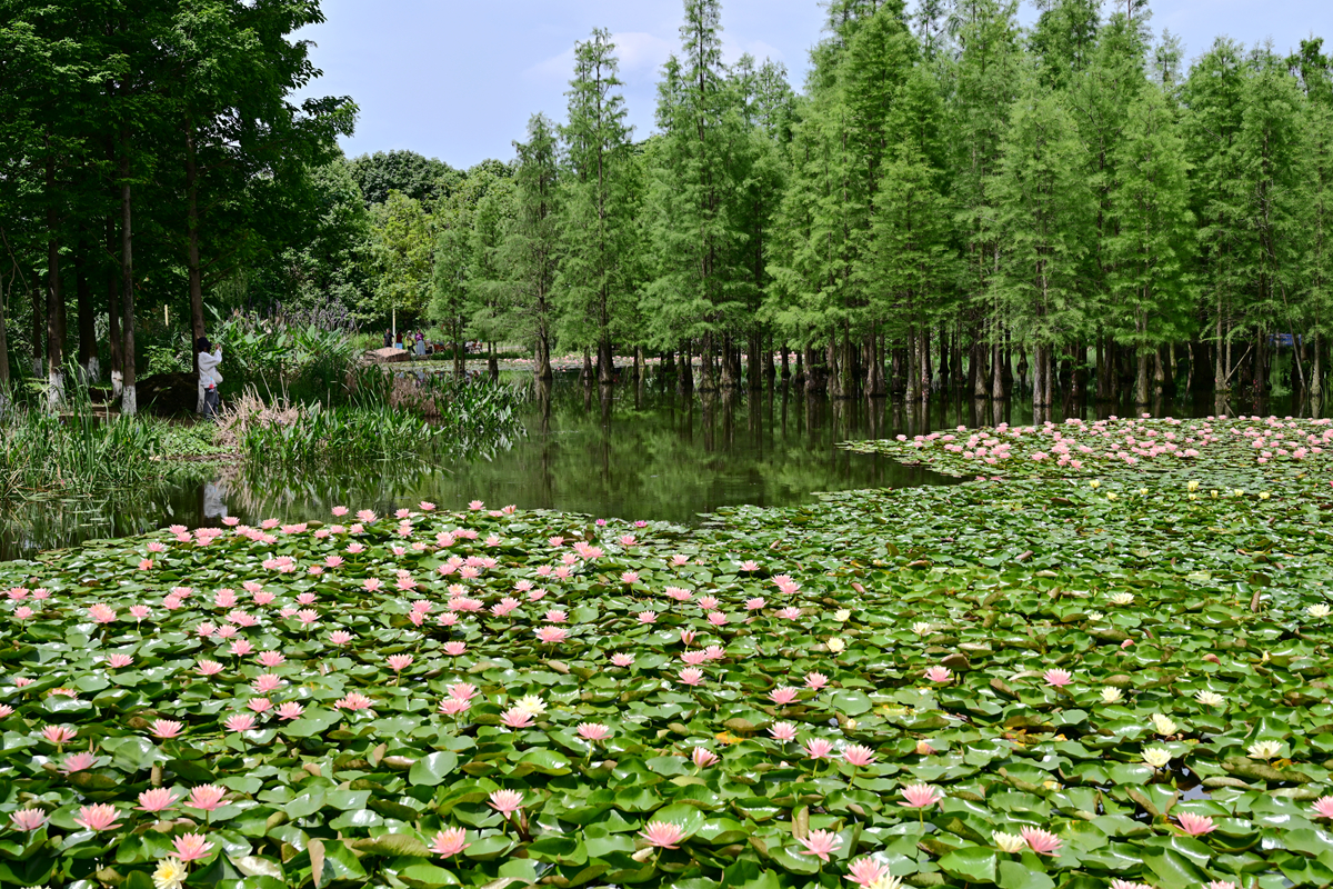 DSC_3581_����.jpg