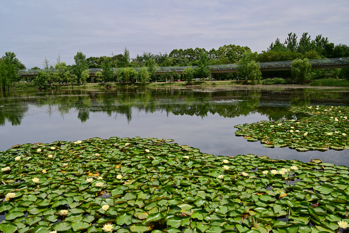 DSC_3582_����.jpg