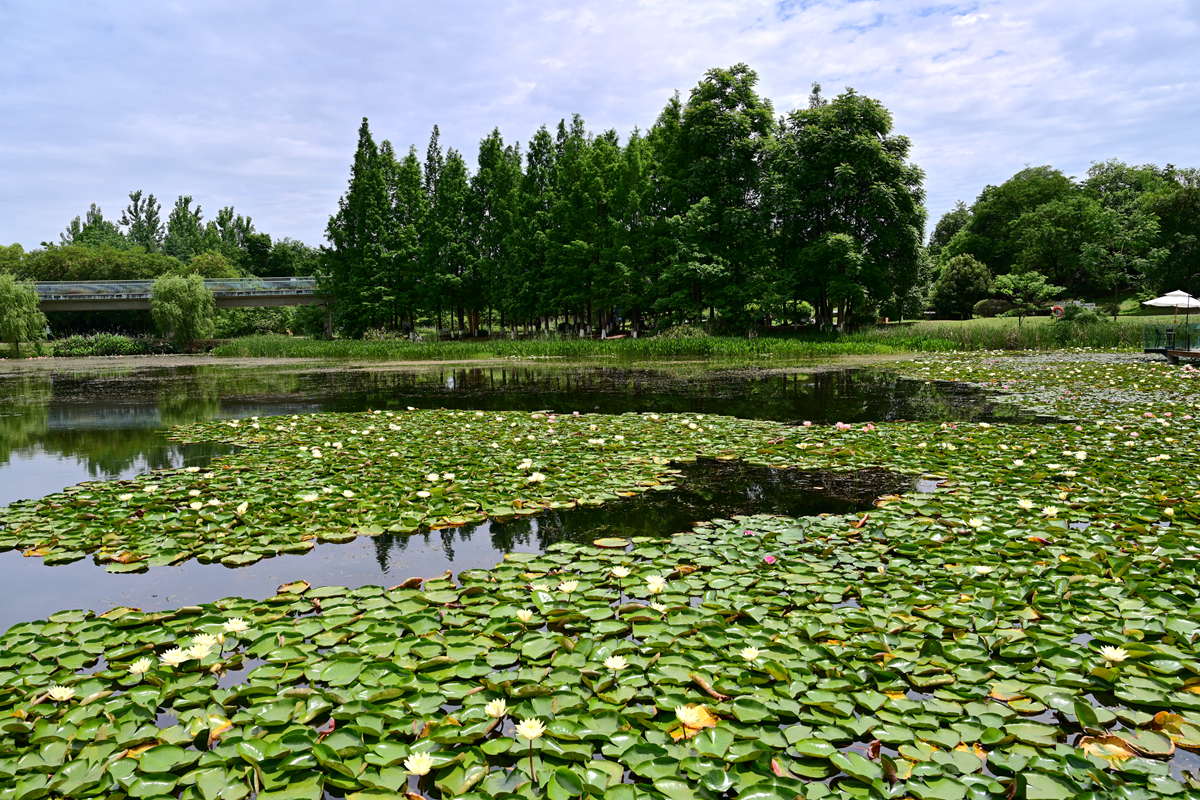 DSC_3583_����.jpg