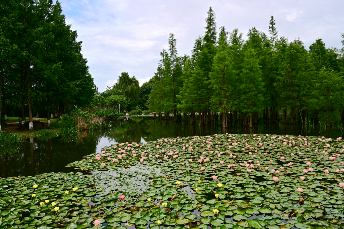 DSC_3586_����.jpg