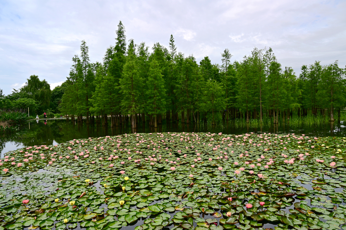 DSC_3588_����.jpg