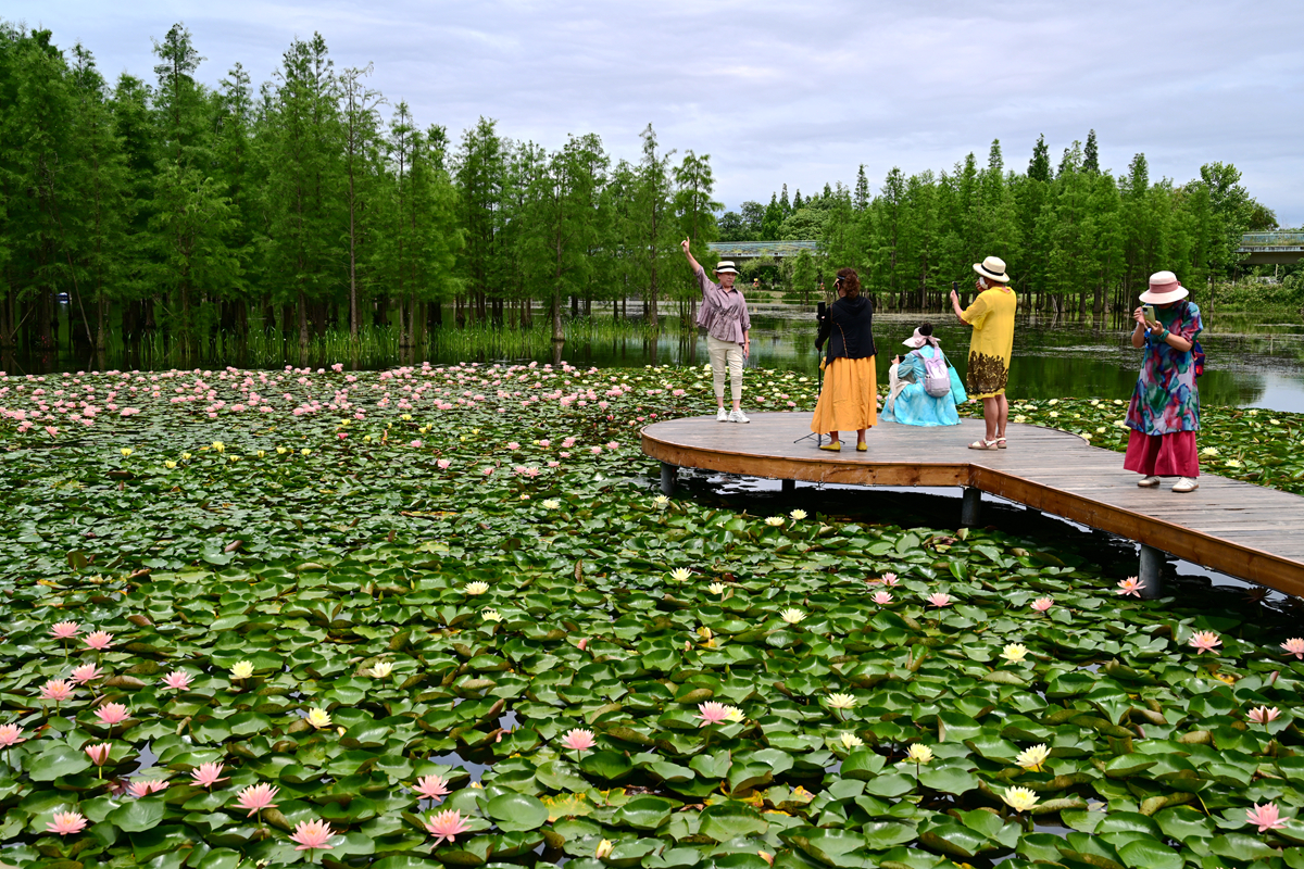 DSC_3596_����.jpg