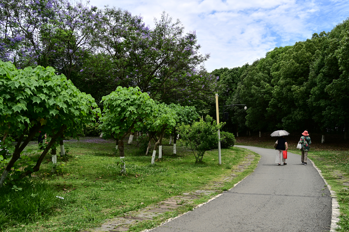 DSC_3606_����.jpg