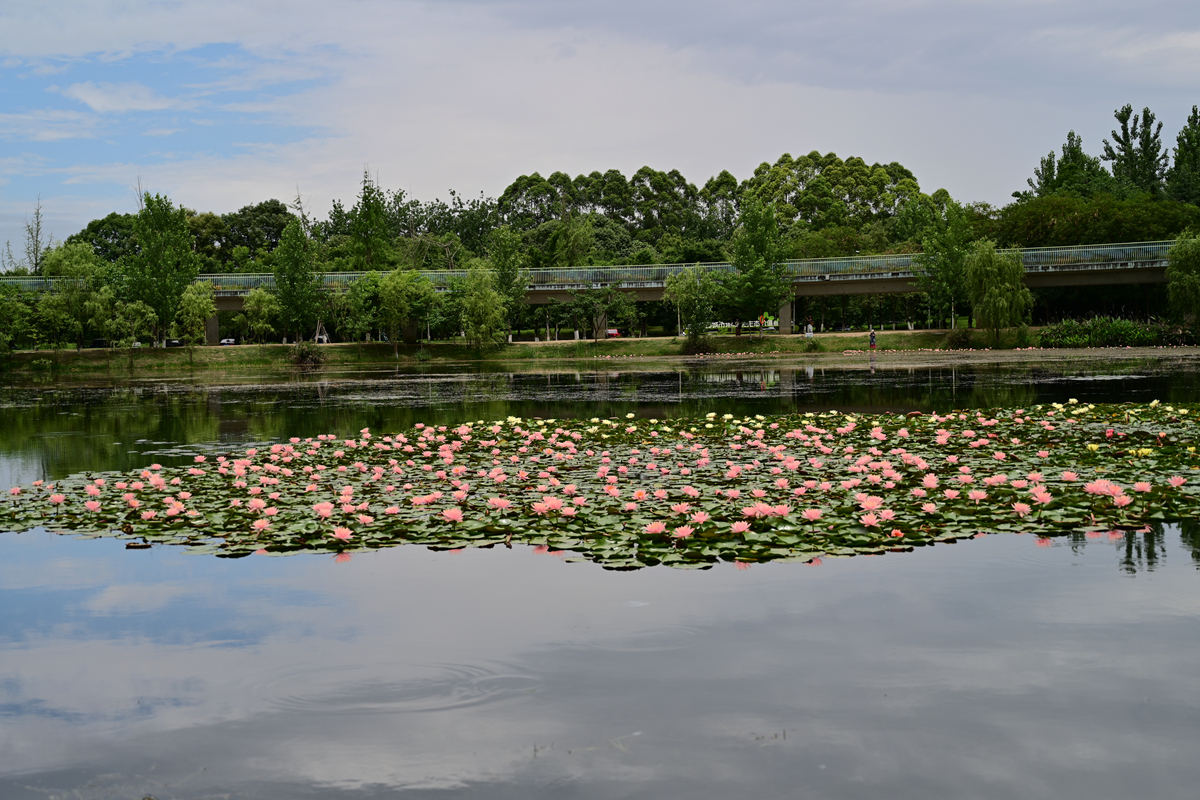 DSC_3607_����.jpg