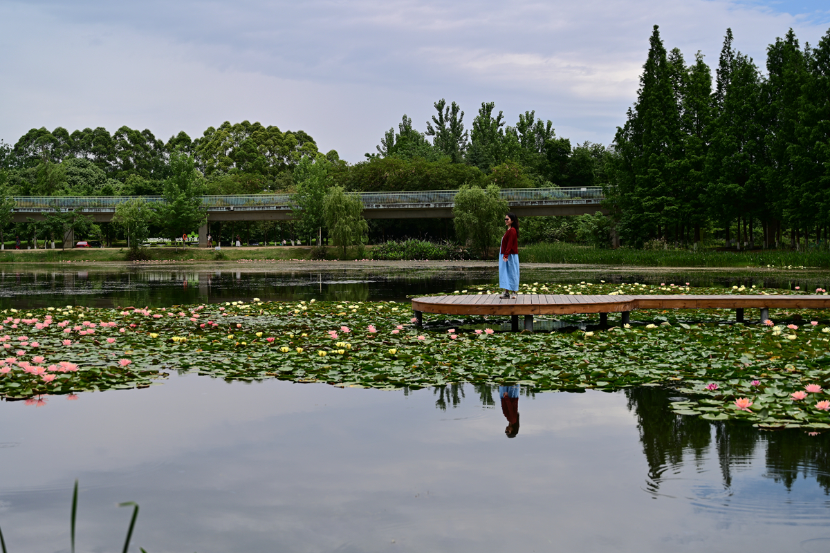 DSC_3610_����.jpg