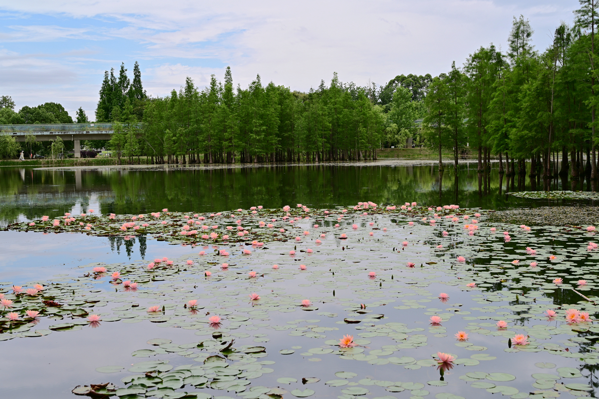 DSC_3619_����.jpg