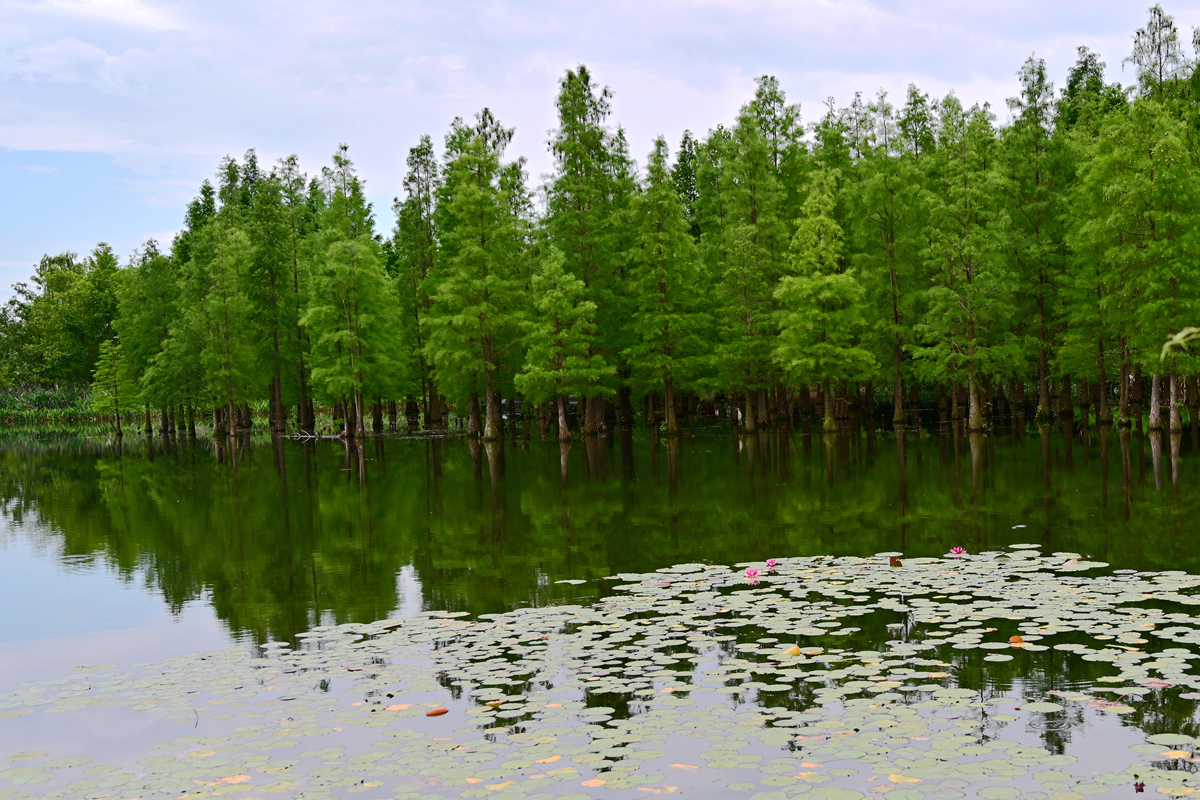 DSC_3639_����.jpg