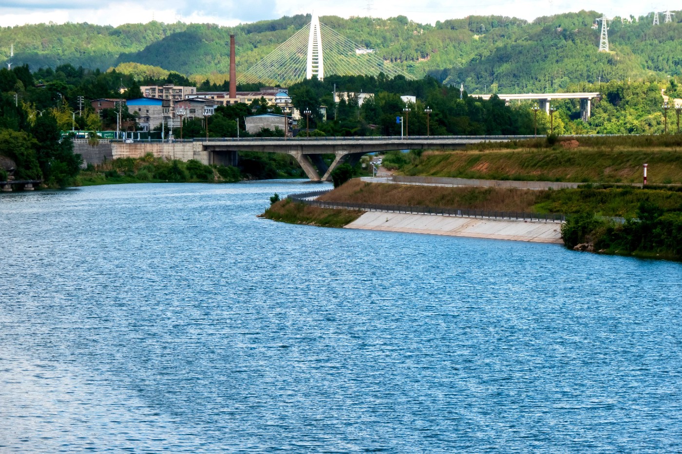 P1015101.jpg