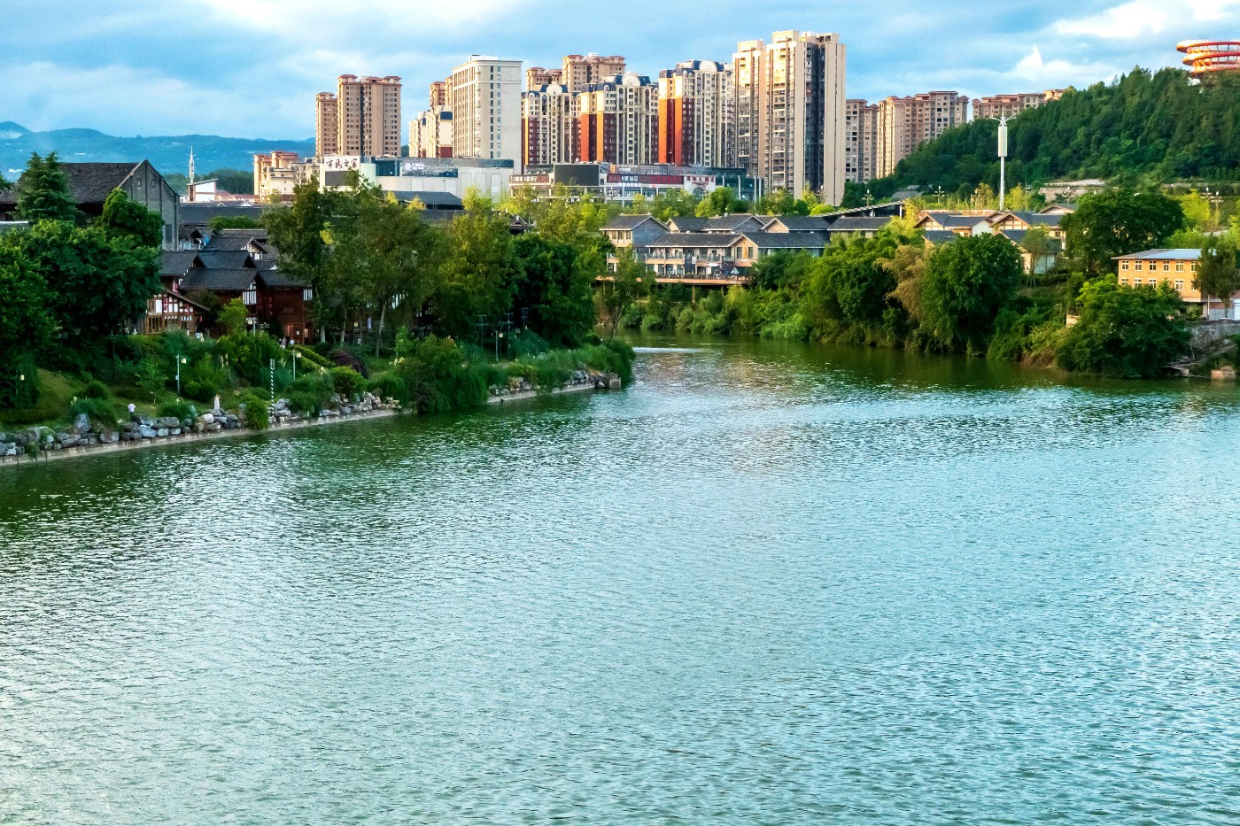 P1015135.jpg