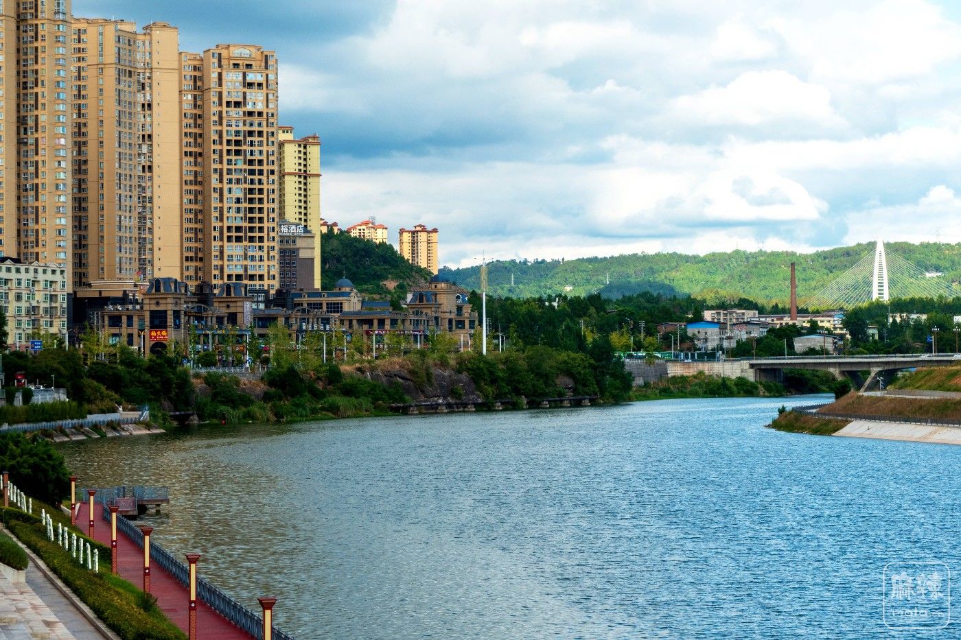 P1015103.jpg