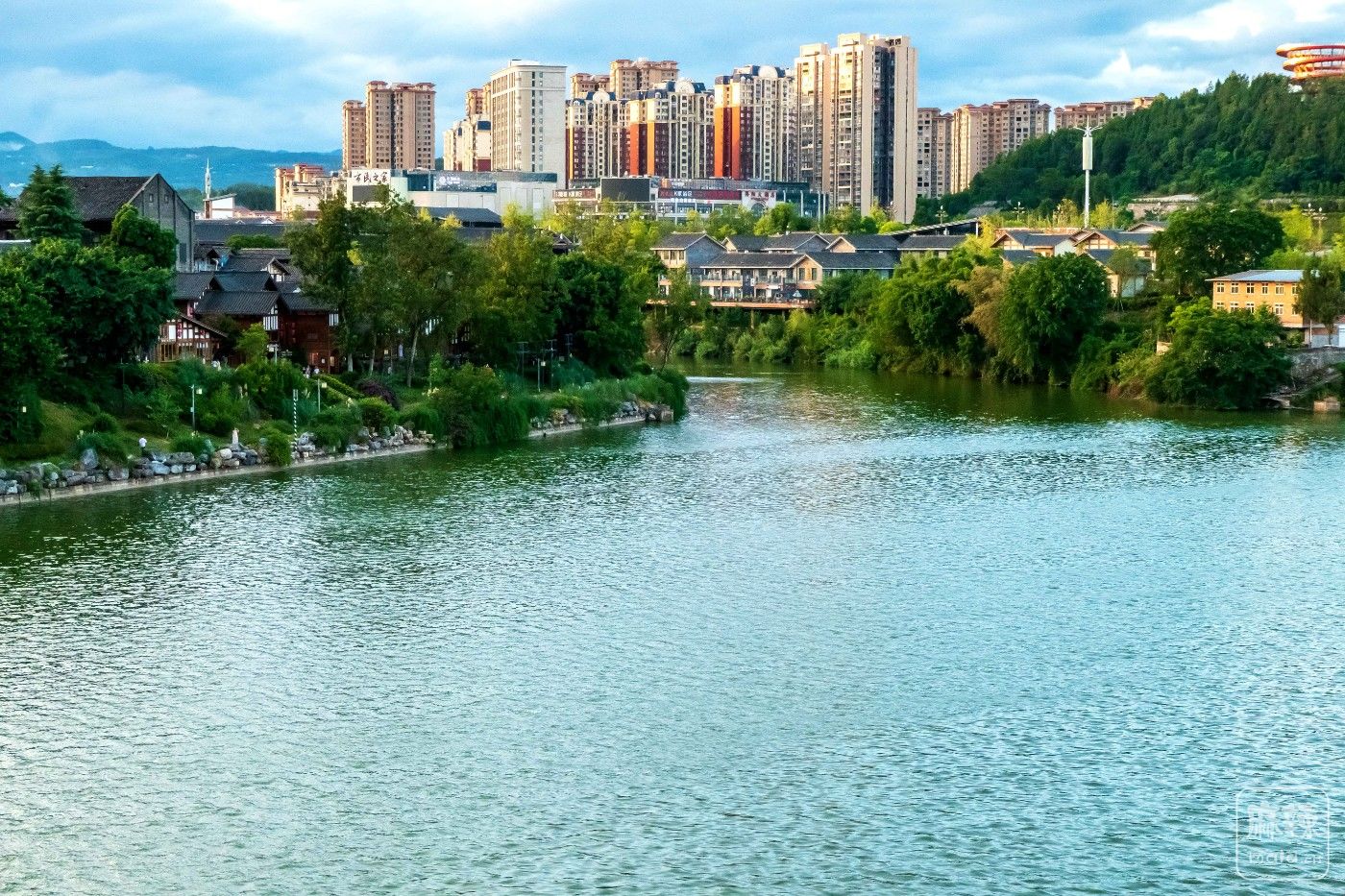 P1015135.jpg