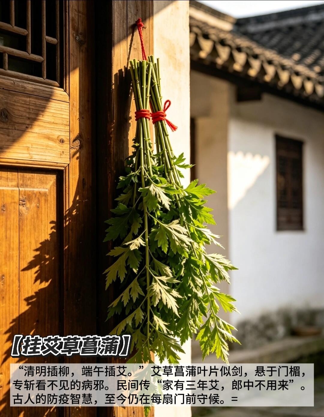 image_5.jpg