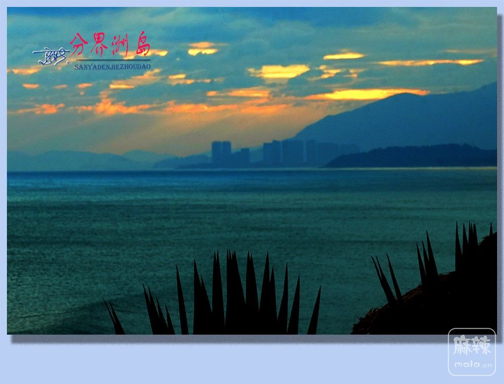 11�����ֽ��޵�.jpg
