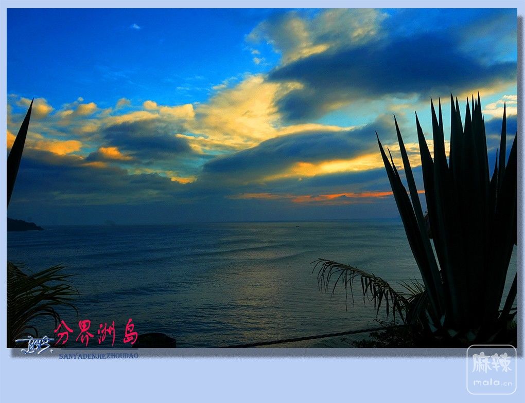 06�����ֽ��޵�.jpg