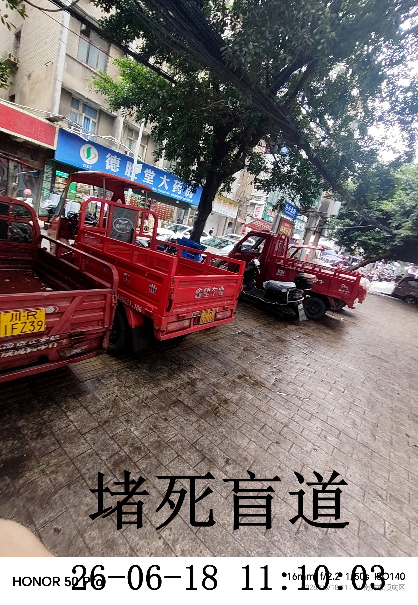 IMG_20260618_111003.jpg