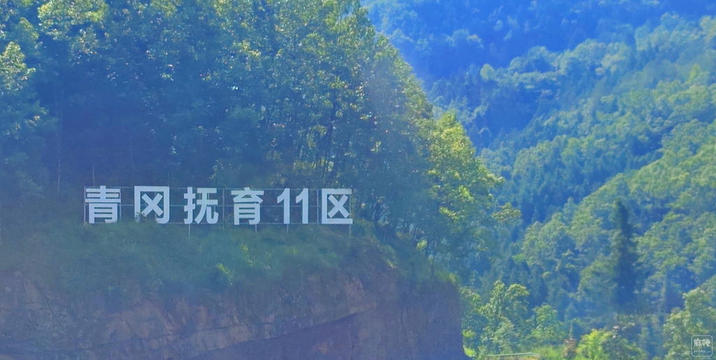 6391724533527101957345740.jpg