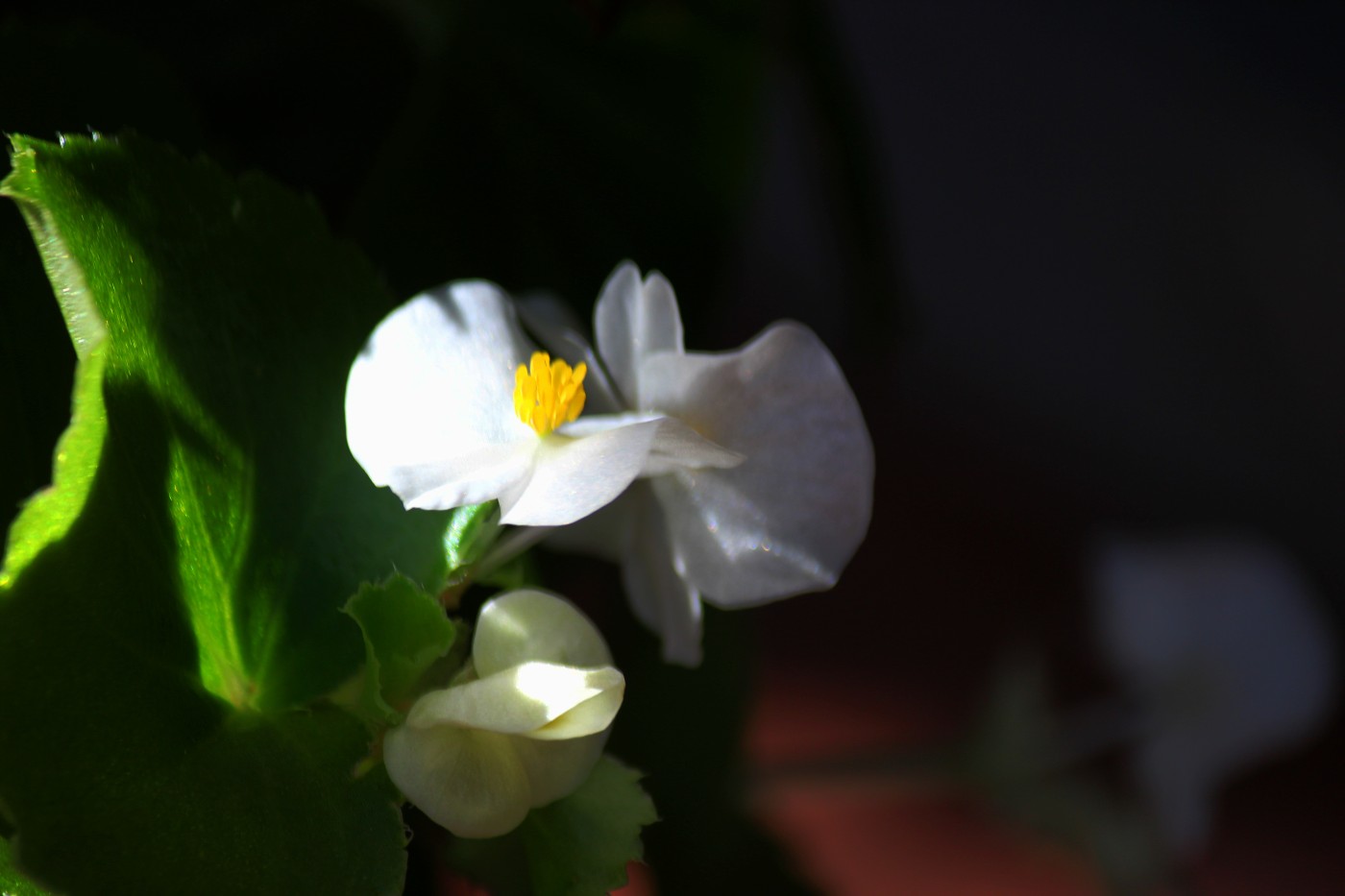 IMG_7556_����.jpg