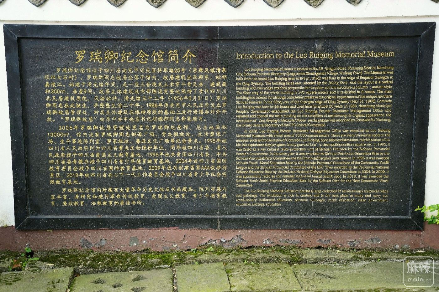 DSC07101_����.jpg