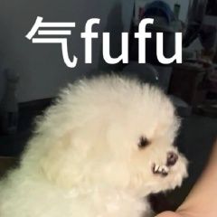 20260619160054front2_0_7501356_FsuTCC3phkDstpVqfaW5ycZFArsj.jpg