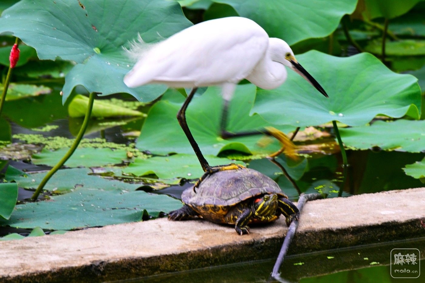 DSC_8814.JPG