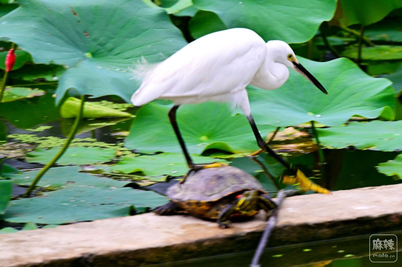 DSC_8816.JPG