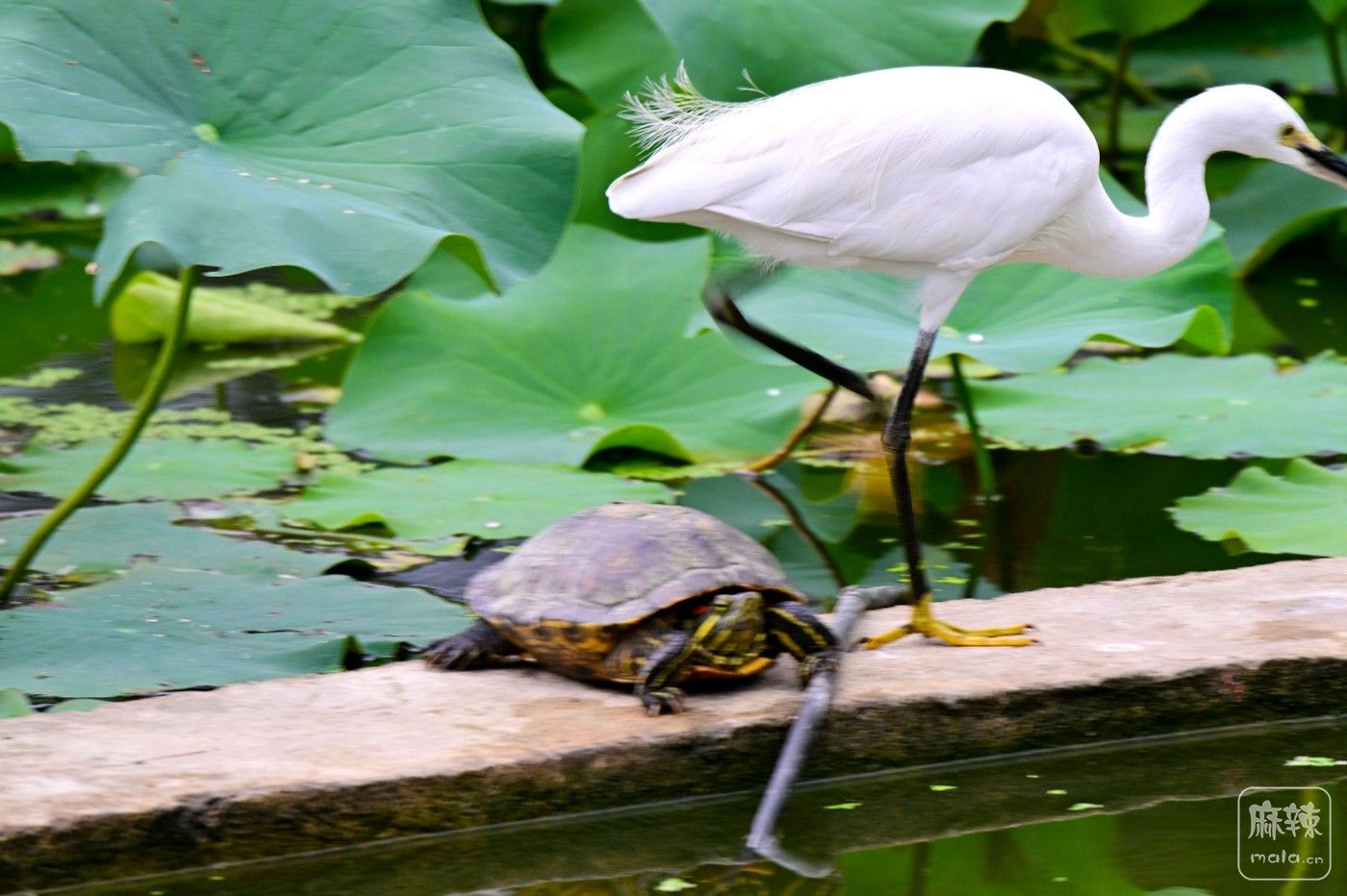DSC_8822.JPG