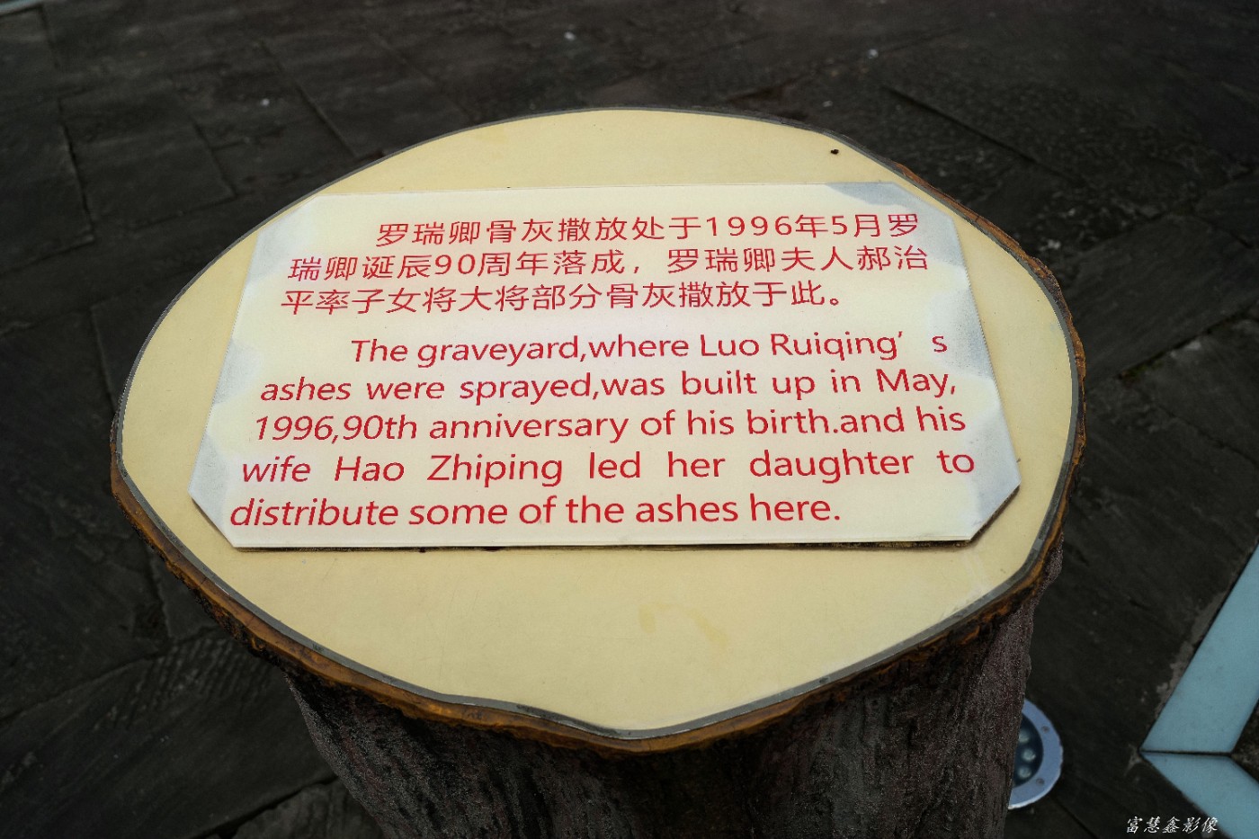 DSC07097_����.jpg