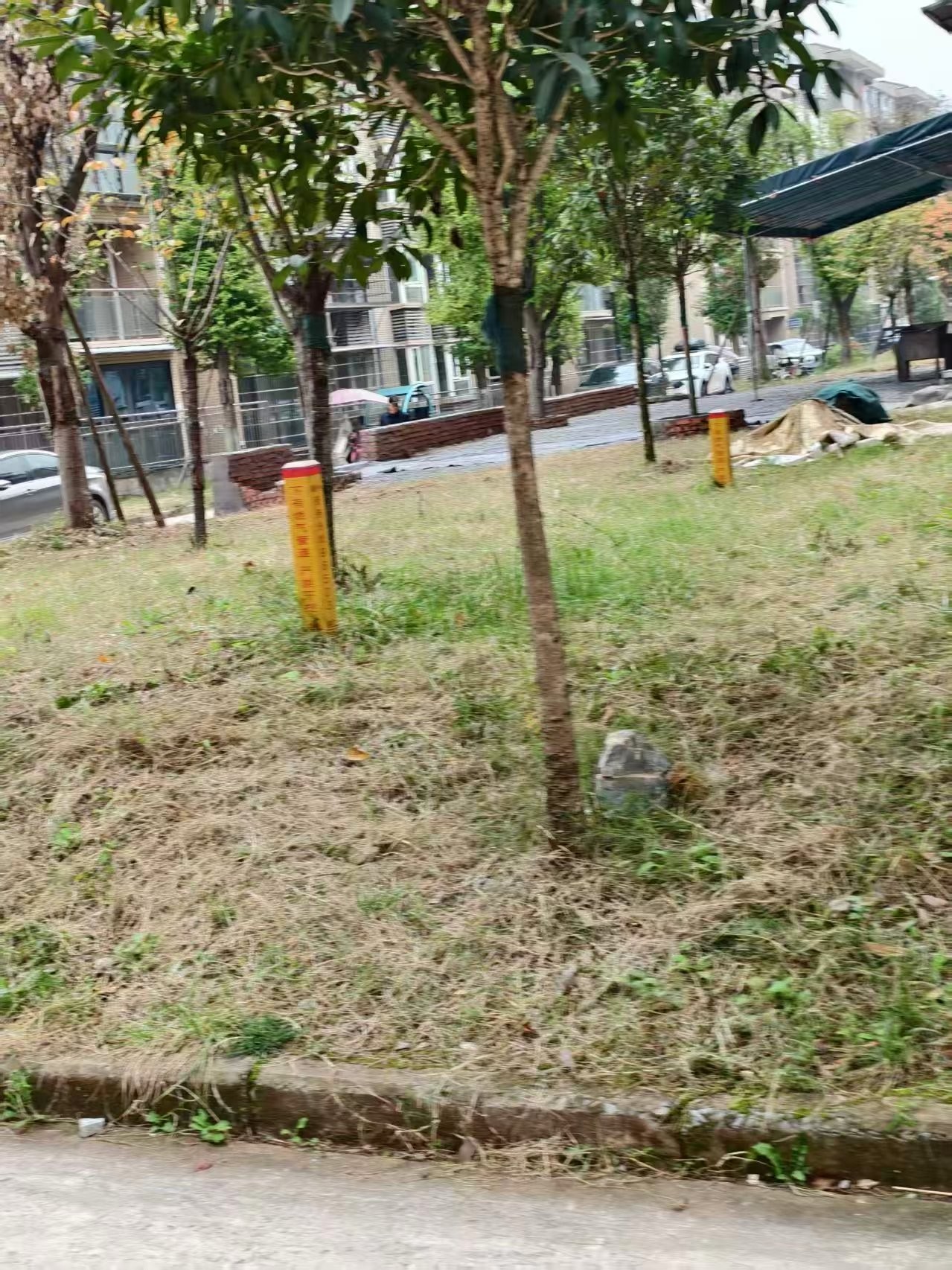 1506343917.jpg