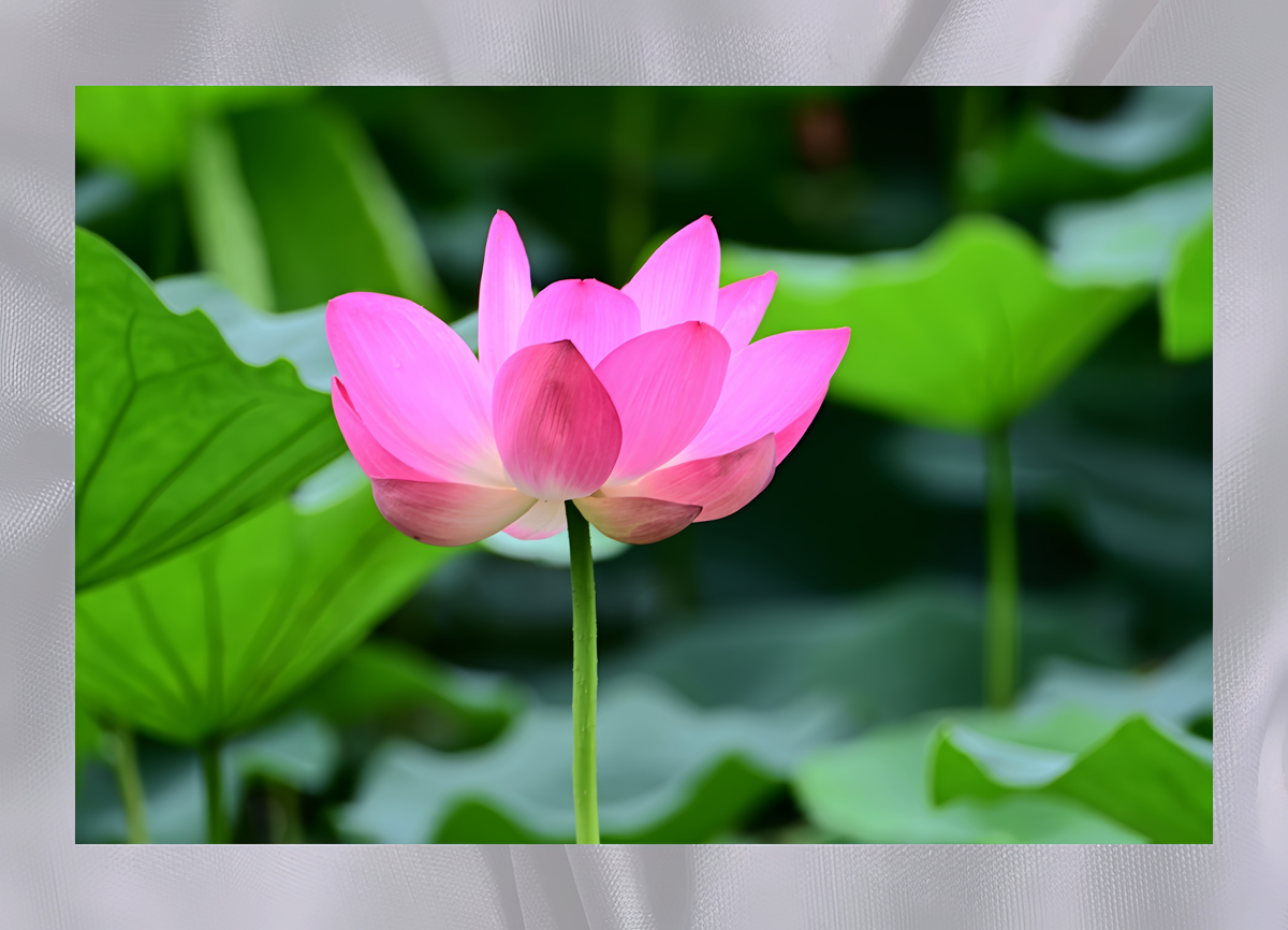 DSC_5397_����.png
