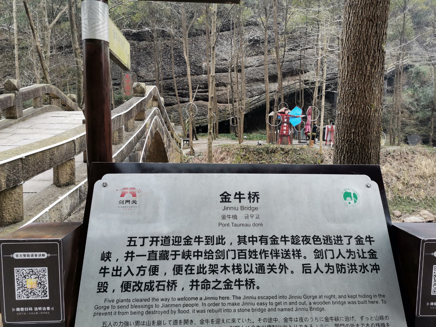 IMG_20250120_113258.jpg
