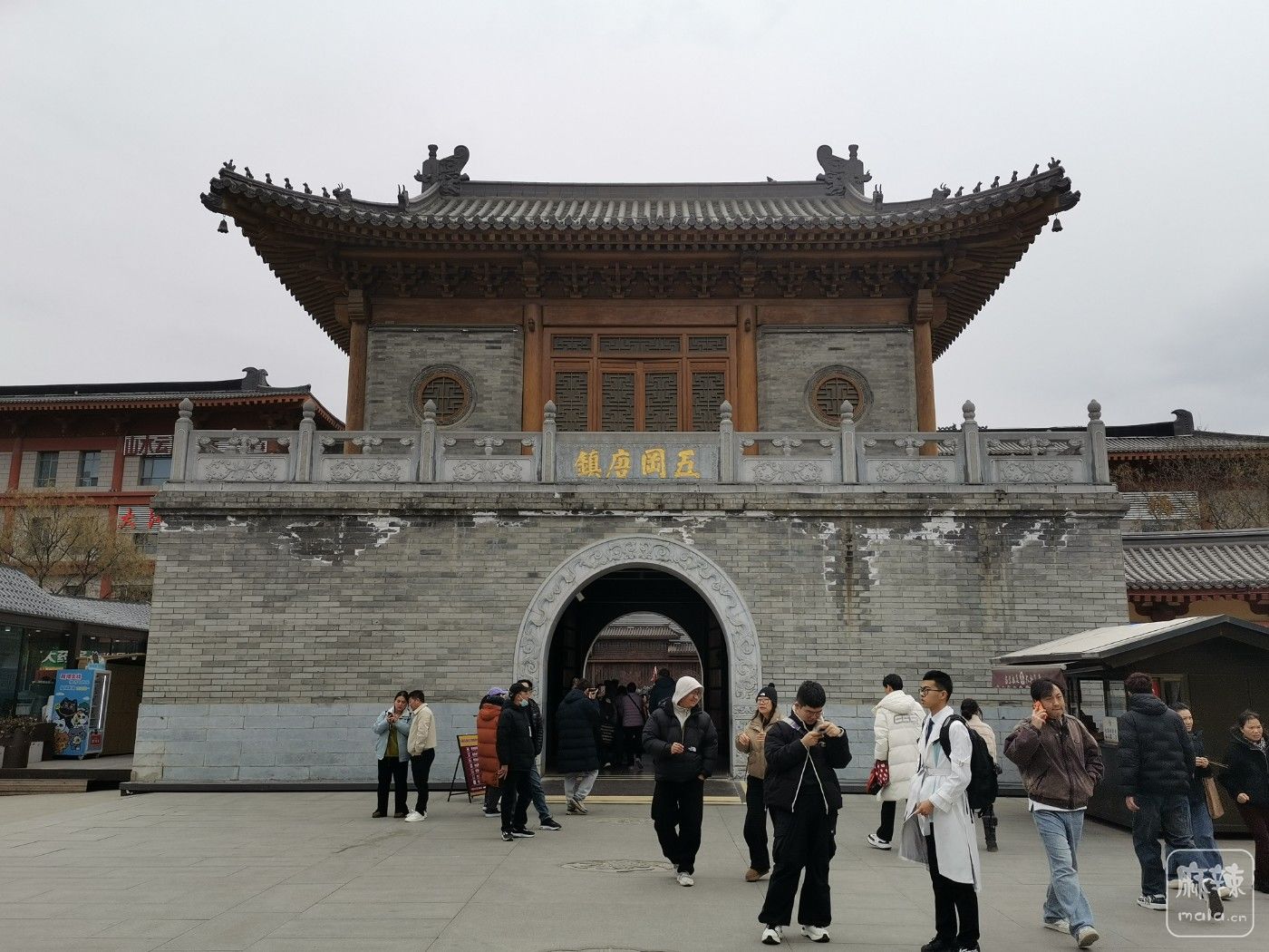 IMG_20260215_140556.jpg