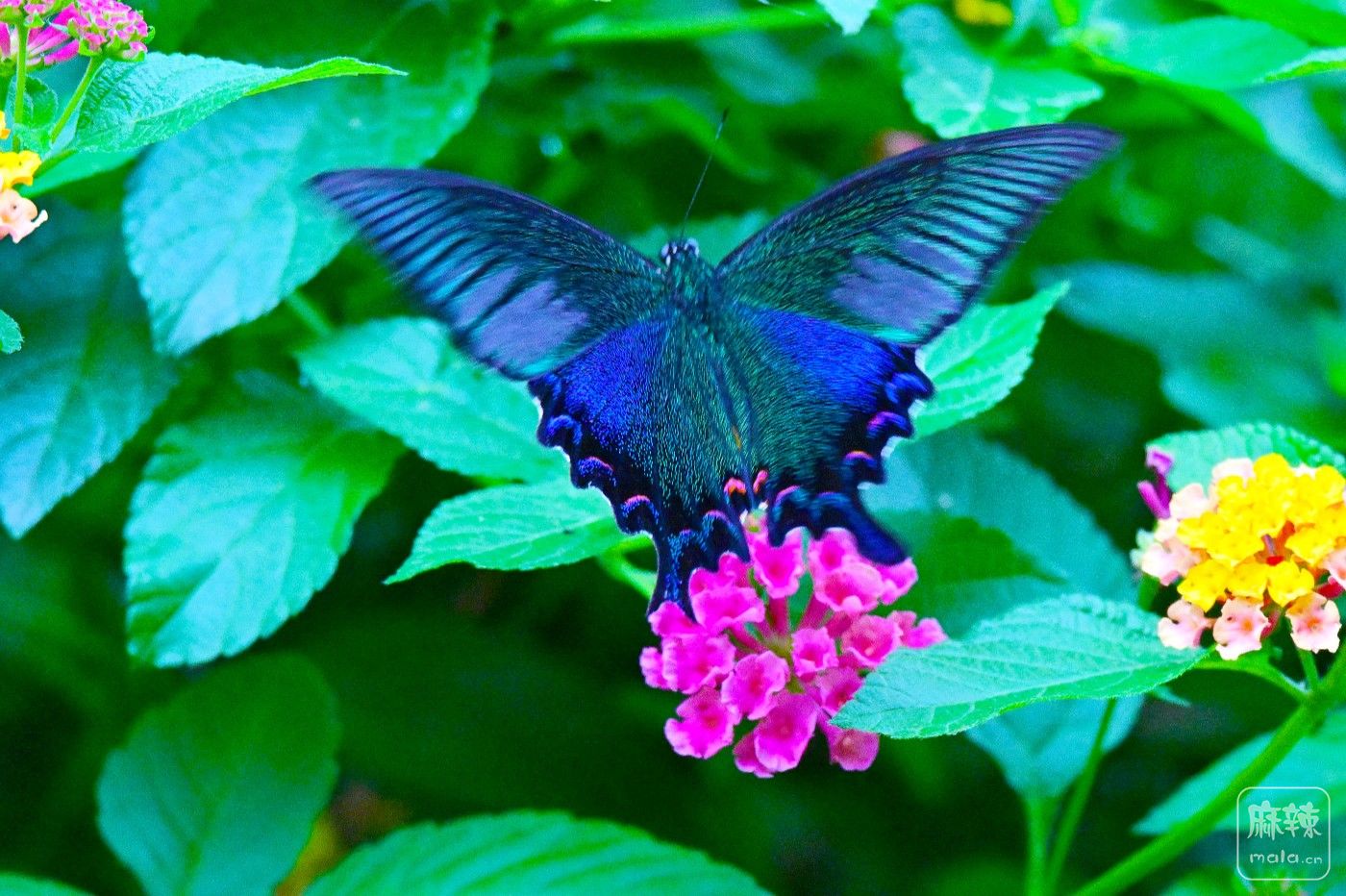 DSC_7939.JPG