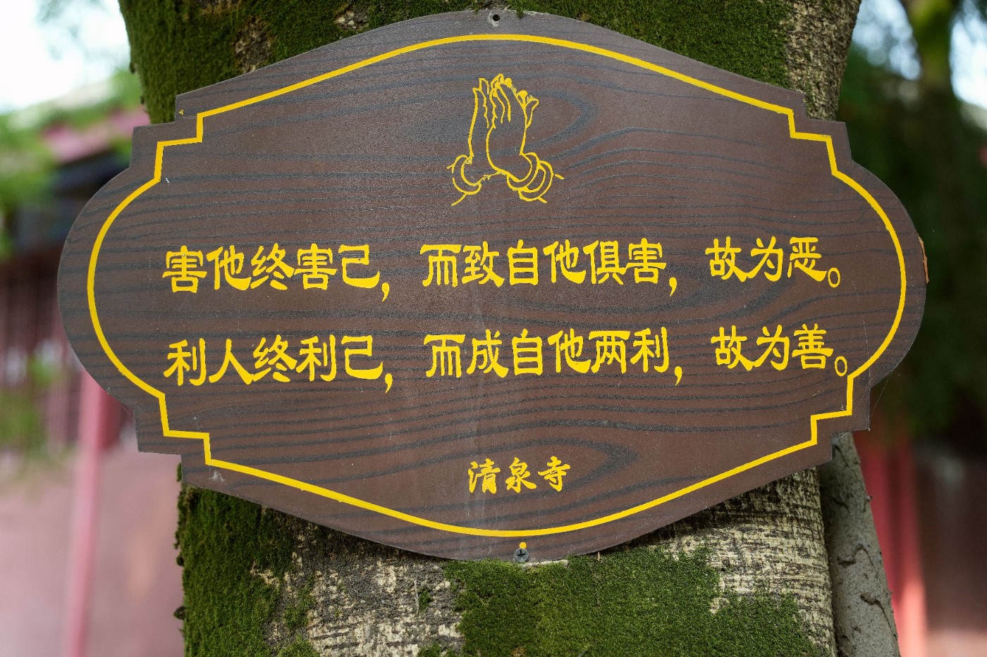 DSC07048_����.jpg