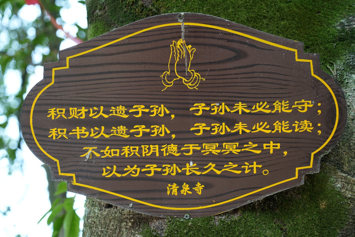 DSC07050_����.jpg