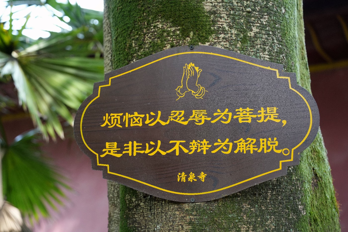 DSC07052_����.jpg