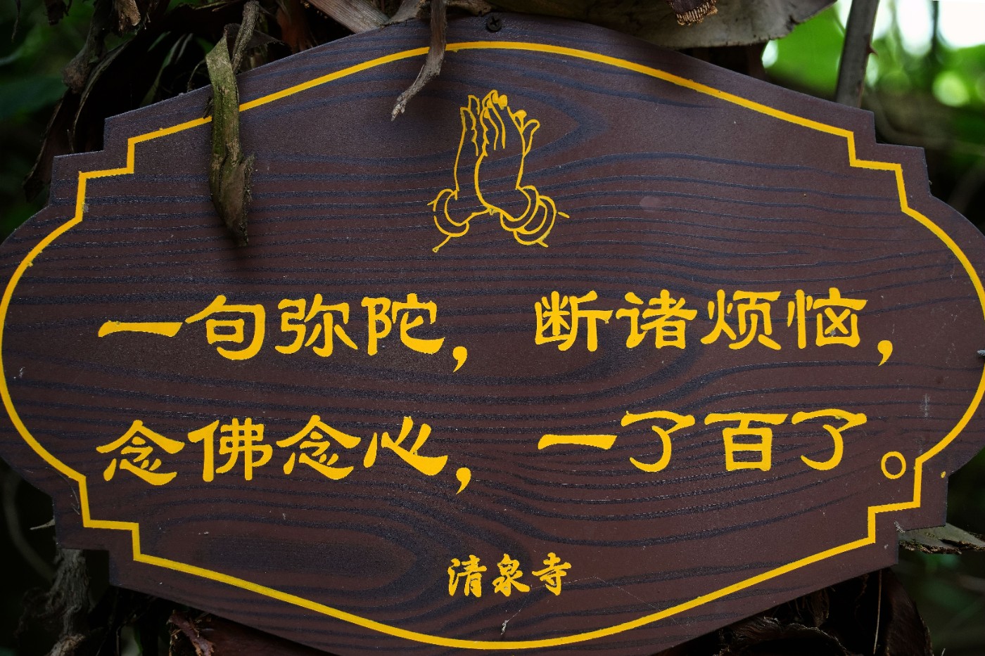 DSC07054_����.jpg