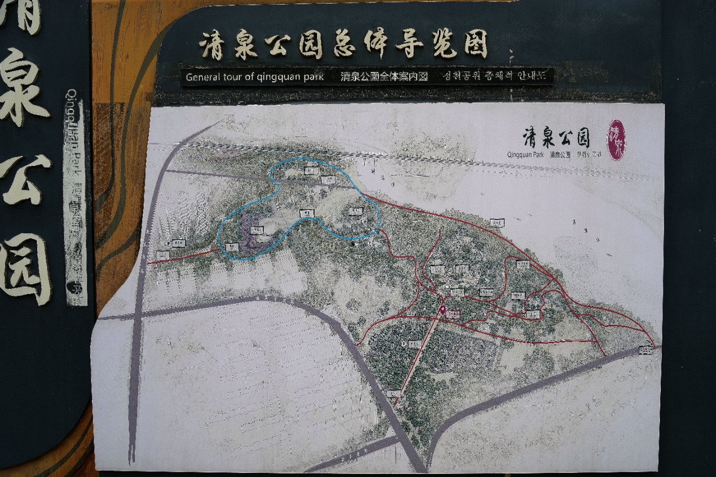 DSC07064_����.jpg