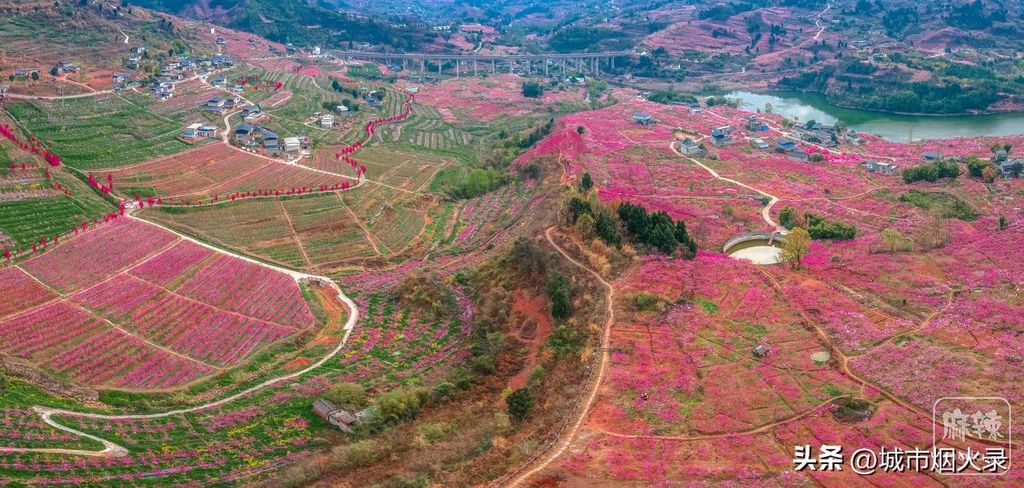 007fc72893cb452ca761d369854f9fd8~tplv-tt-origin-web:gif.jpeg