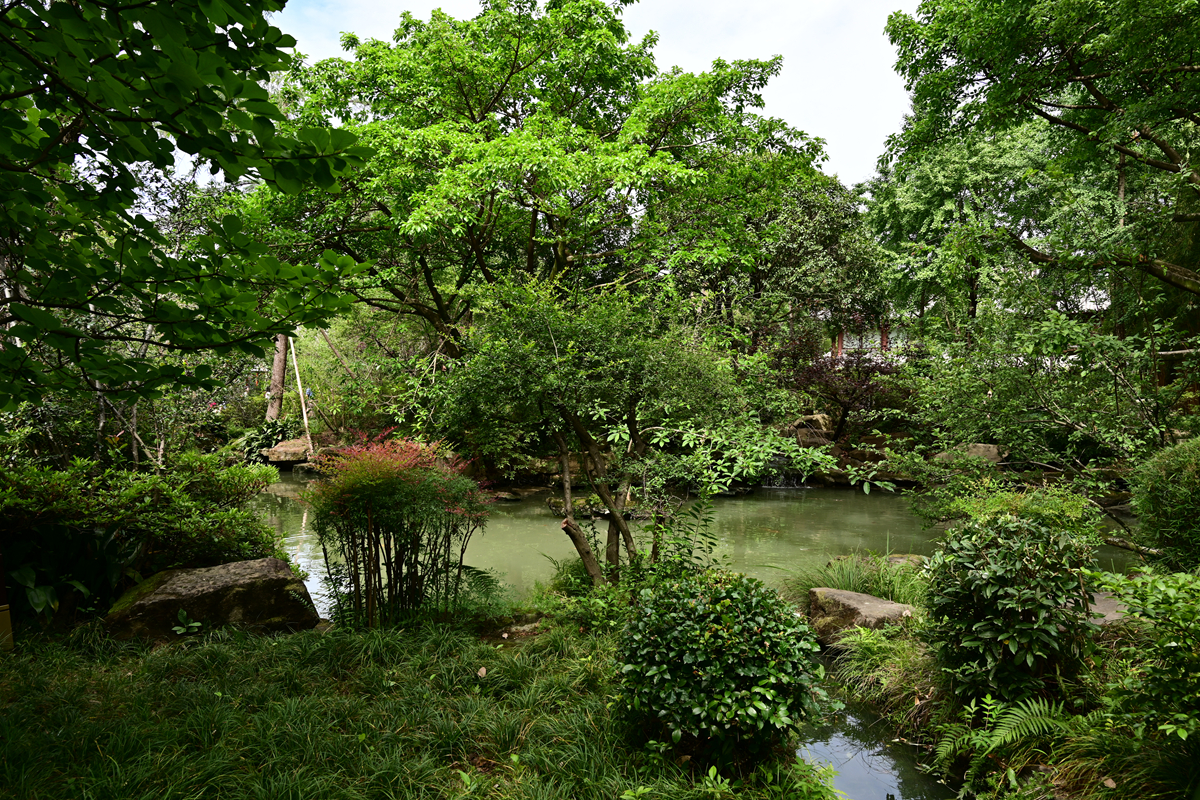 DSC_4296_����.jpg