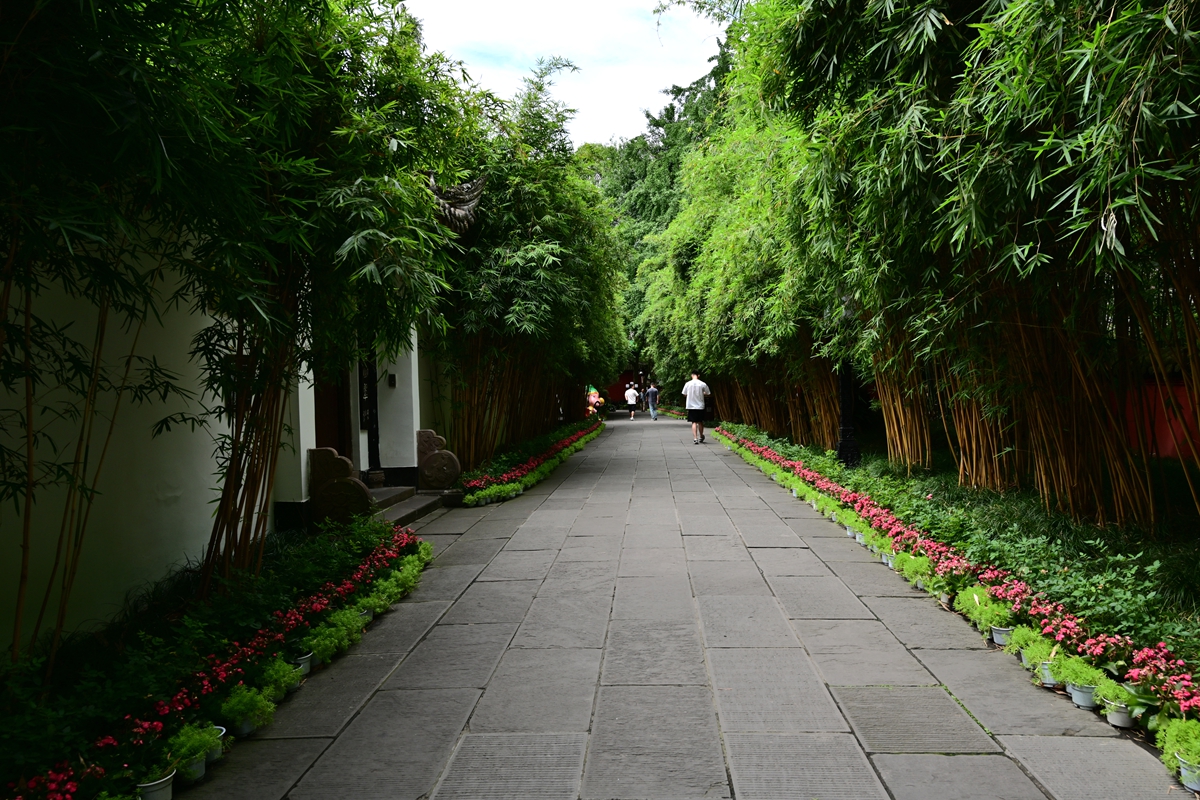 DSC_4361_����.jpg