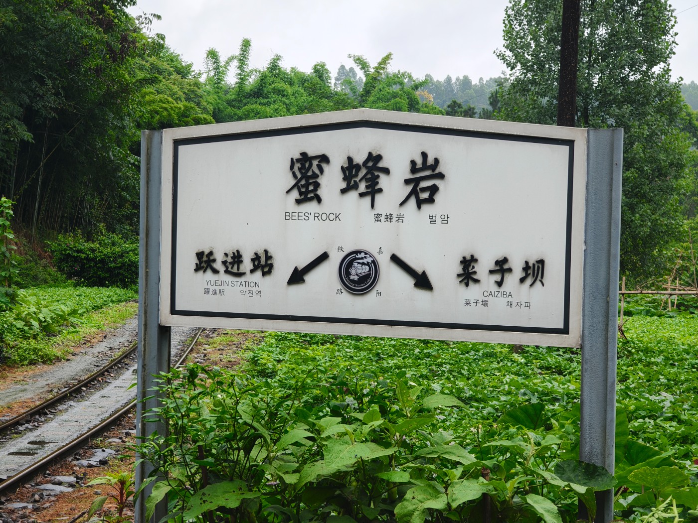 165.jpg