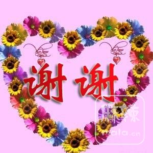 NLUV)3I(Z8@(Z_MQXS(_~4Q.jpg