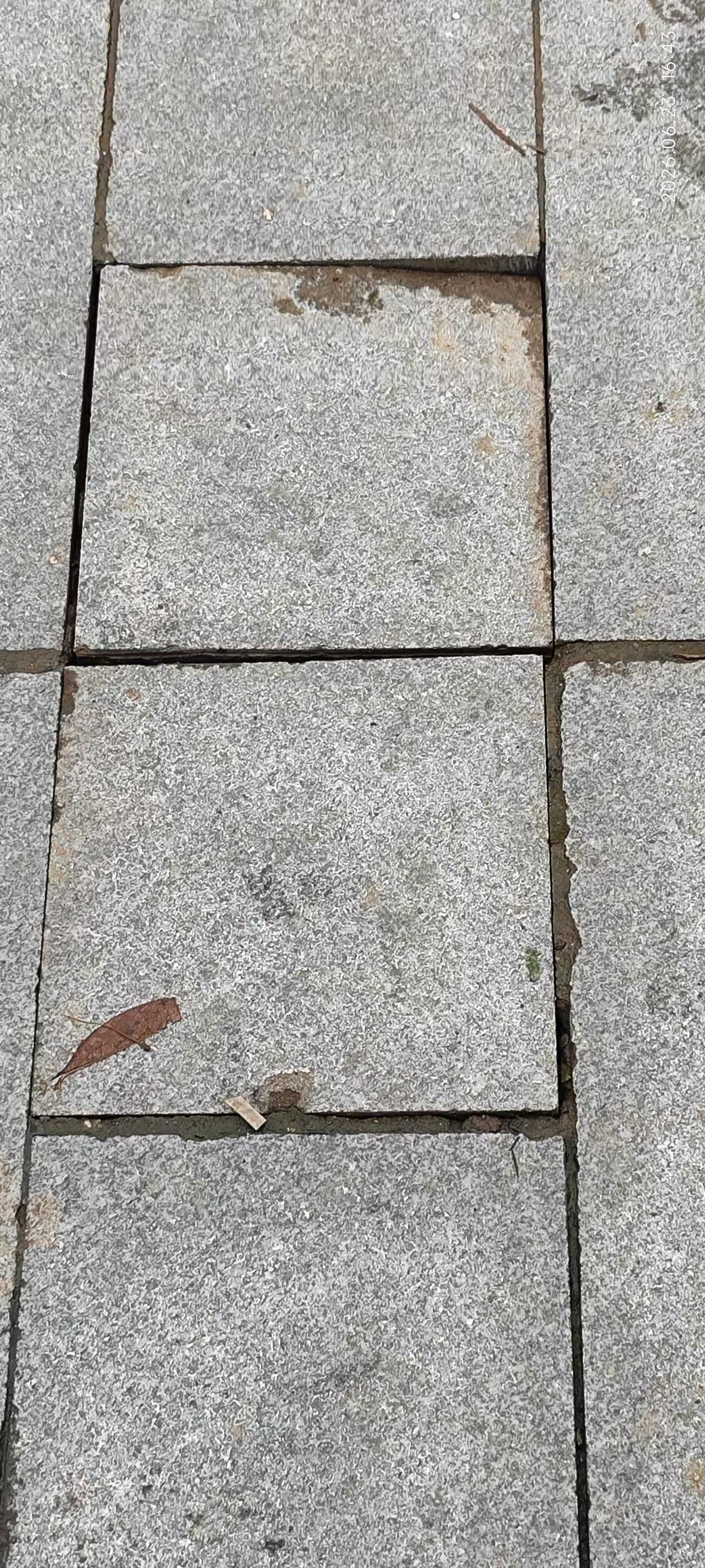 ΢��ͼƬ_20260624223802_399_2.jpg