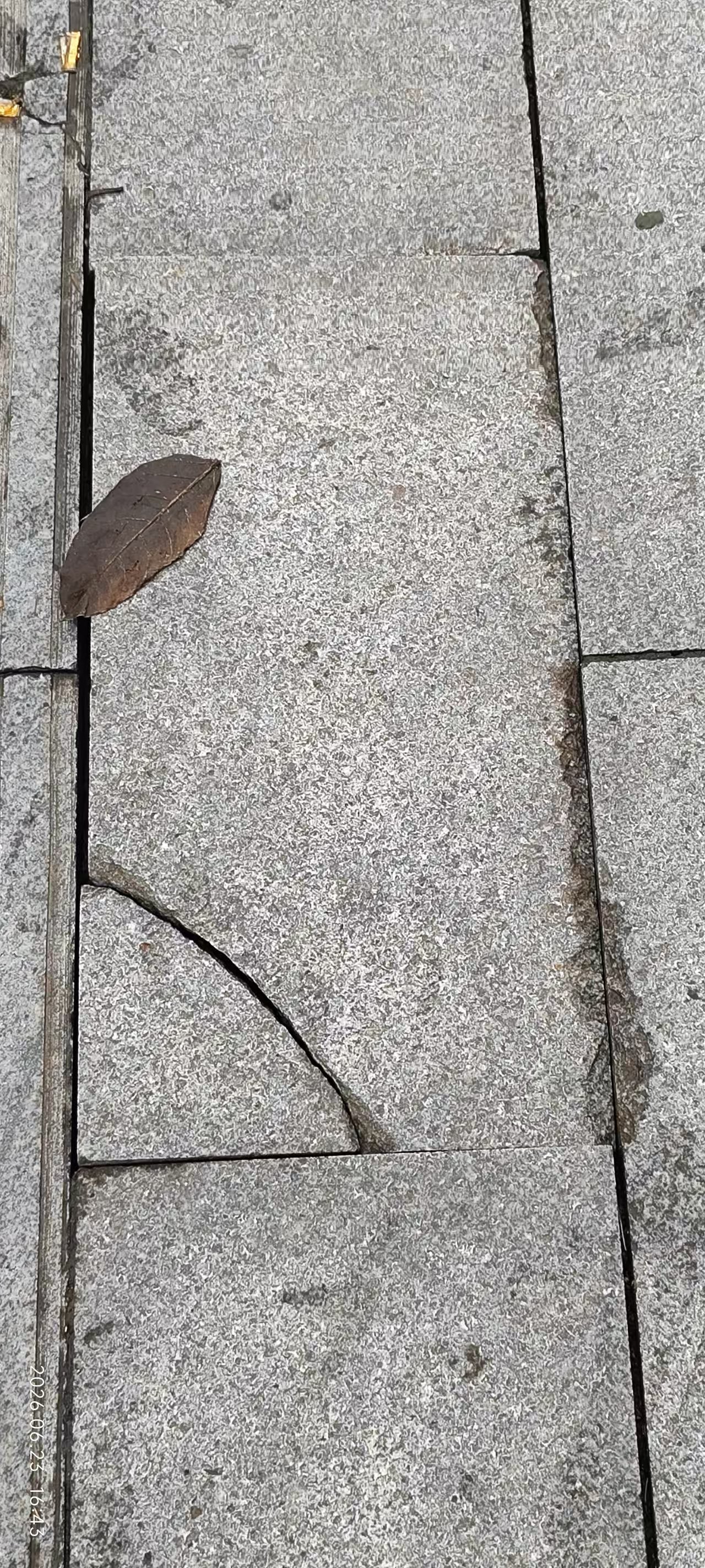 ΢��ͼƬ_20260624223803_400_2.jpg