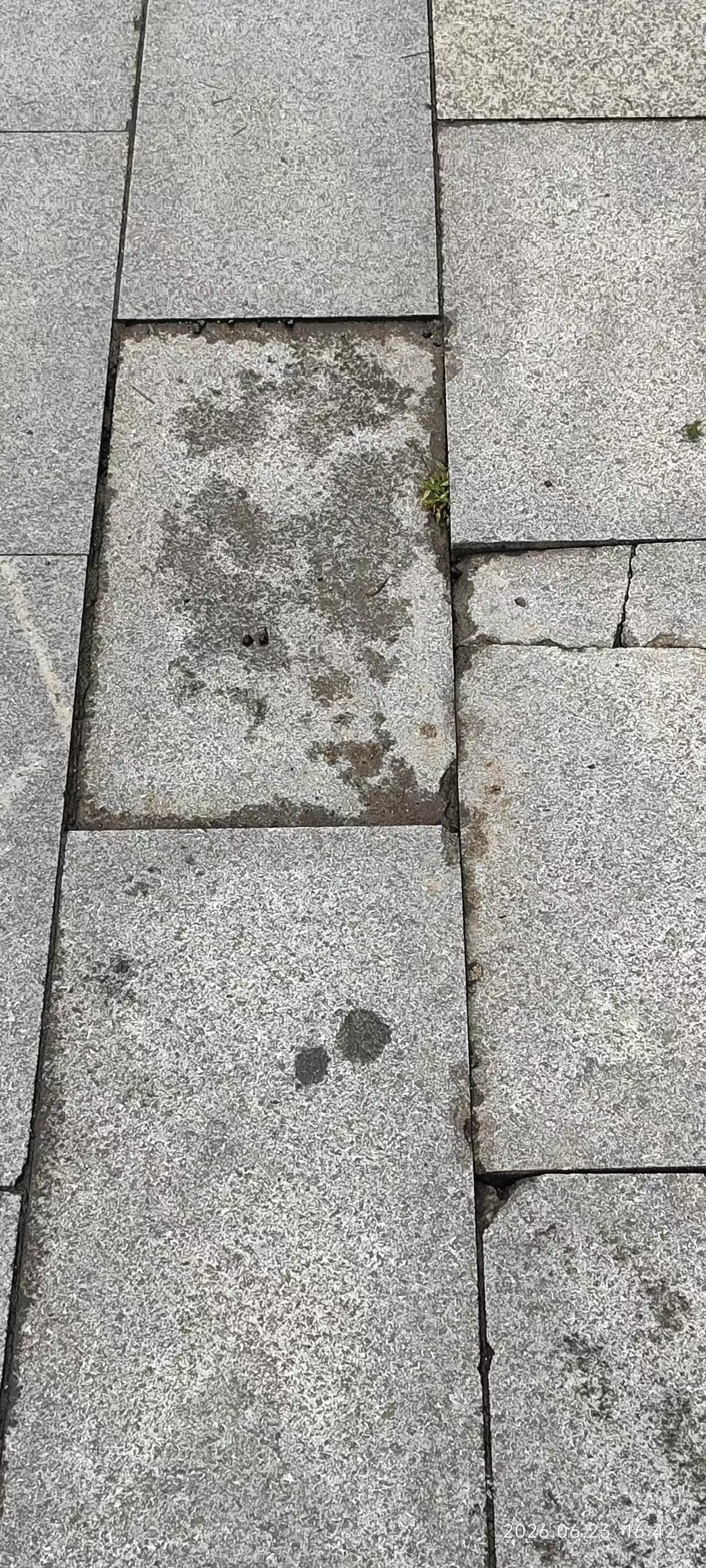 ΢��ͼƬ_20260624223811_403_2.jpg