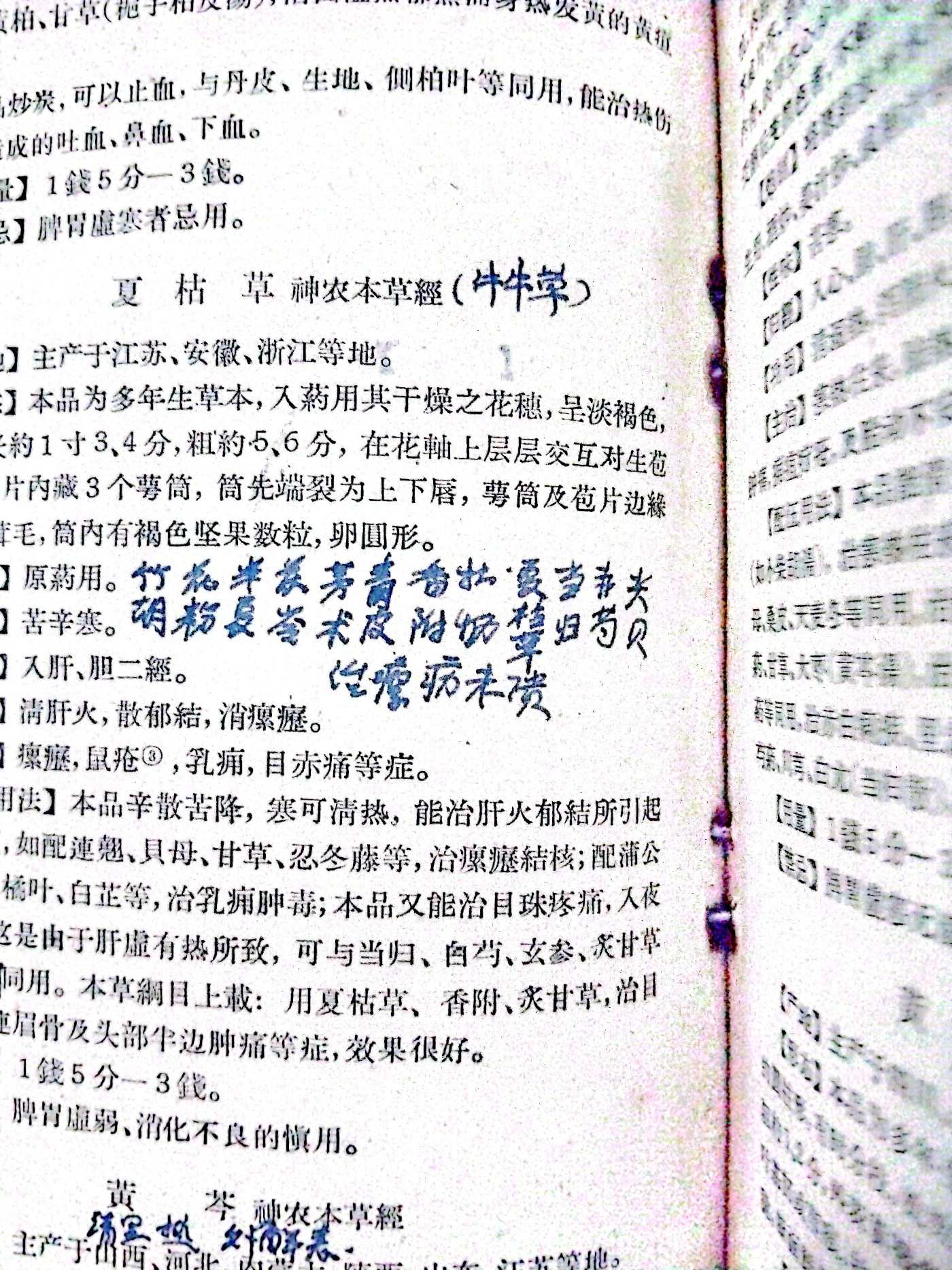 webwxgetmsgimg (5)_����.jpg