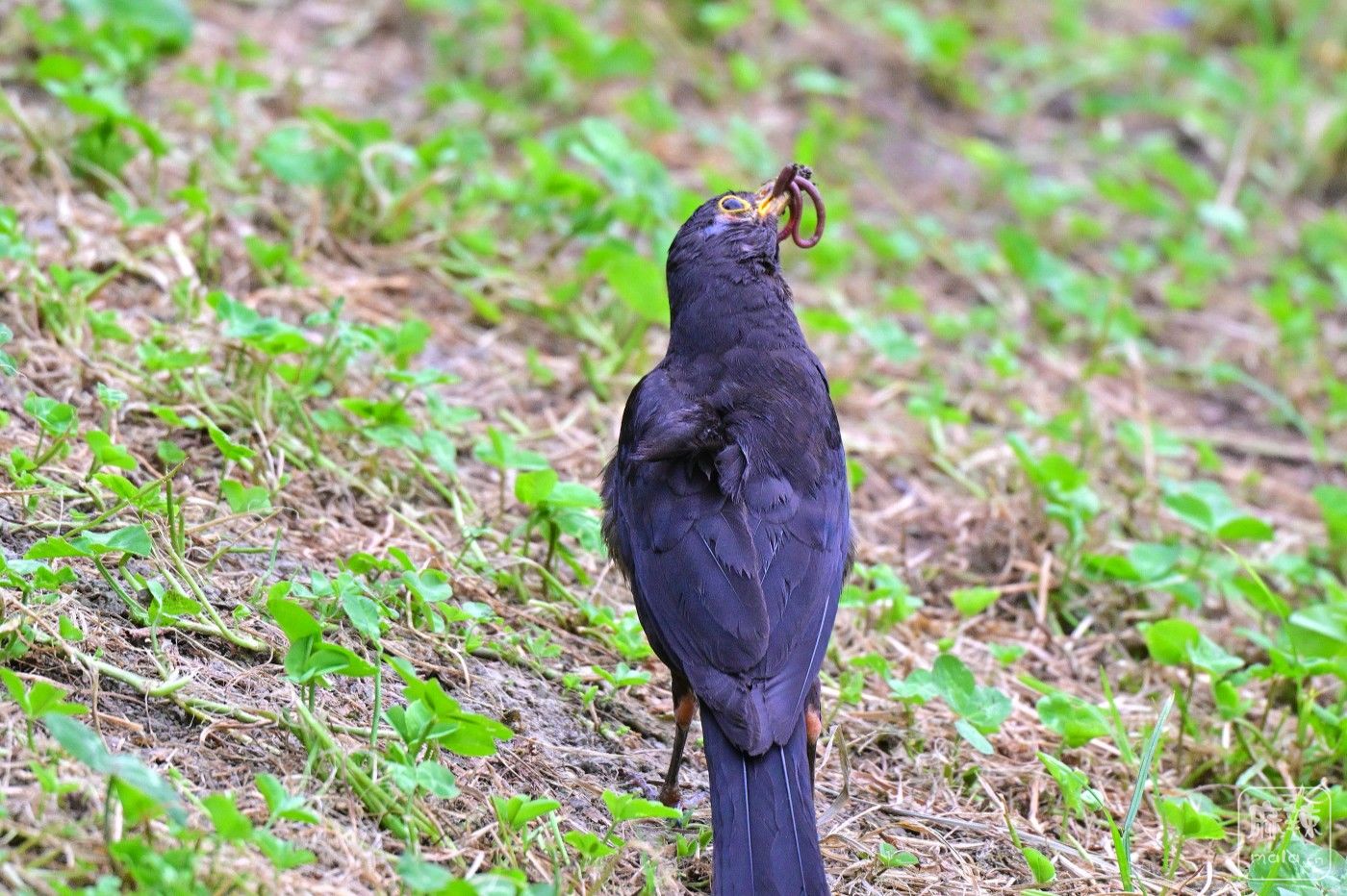 DSC_8051.JPG